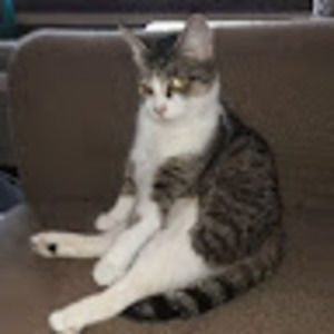 Meet your Posher, Lori